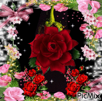 rosen - Gratis geanimeerde GIF