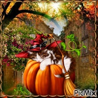 Herbst automne autumn animovaný GIF
