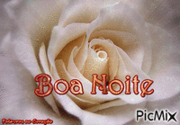 boa - Zdarma animovaný GIF