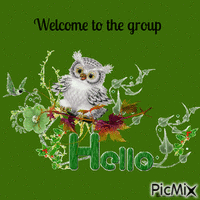 welcome owl animovaný GIF