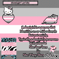 A Demigirl Picmix GIF animé