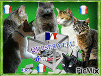 Election présidentielle анимиран GIF