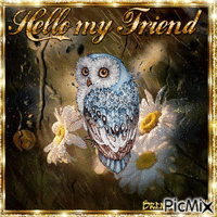 OWL hello - GIF animate gratis