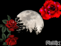 Moon and Rose - Animovaný GIF zadarmo