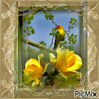 yellow rose анимированный гифка