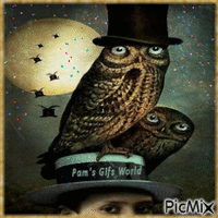 Man with Owls - Бесплатни анимирани ГИФ