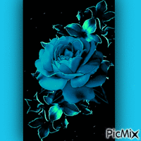 Rosa azul - Free animated GIF
