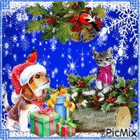 Christmas Greetings. Cat, dog, snow animovaný GIF