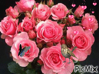 un rose - Darmowy animowany GIF