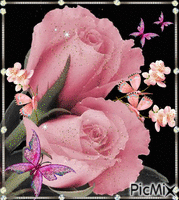 2 pink roses. - Animovaný GIF zadarmo