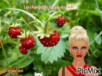 fraise et chat - GIF animado grátis