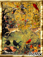 oiseaux en automne