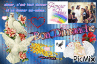Les anges § paix,amour - colombe / citation . Bon dimanche animovaný GIF