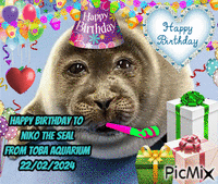Happy Birthday to Niko the Seal - Besplatni animirani GIF