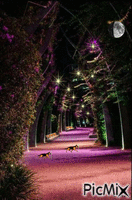 Paseo nocturno animuotas GIF