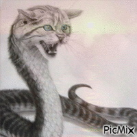 ébauche chat aux yeux bleus - GIF animado gratis