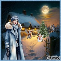 Nuit d'hiver. - Free PNG