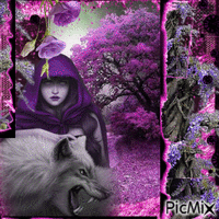 dark purple forrest - Gratis animerad GIF
