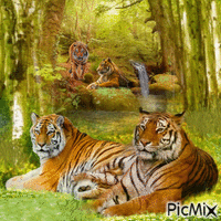 Les tigres GIF animado