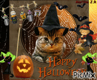 Chat Halloween - Nemokamas animacinis gif