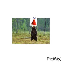 aca en el cumple del oso juan - Darmowy animowany GIF