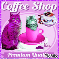 Coffee premium quality анимированный гифка
