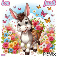 petit âne animovaný GIF