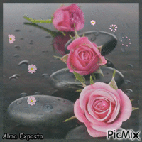 Tres Rosas анимиран GIF