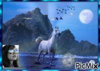 cheval 动画 GIF