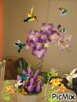 Minha Orquídia animovaný GIF