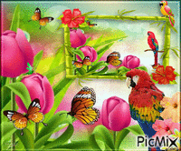 perroquet - GIF animasi gratis