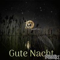 Gute Nacht animēts GIF