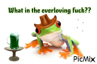 Cowboy frog animovaný GIF