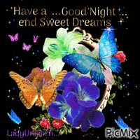 Flowers end Butterfly's   Good Night end Sweet Dreams Gif Animado