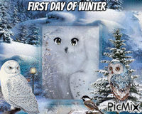 winter owl GIF animasi