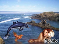 dauphin & sirene - PNG gratuit