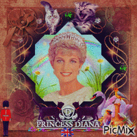 La belle Princesse de Galles : Diana