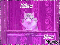 Kikou les chatons анимиран GIF