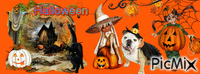 Bannière Halloween GIF animado