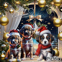 Frohe Weihnachten mit Hunden - GIF animé gratuit