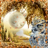 Hibou et lune en automne GIF animé