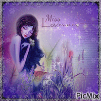 Miss Lavender
