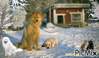 Pets are falling snow! анимиран GIF