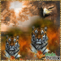 le tigre animēts GIF