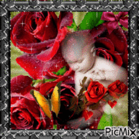 bébé et les roses rouges GIF animado