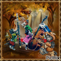 Les chats musiciens - Contest - Free animated GIF