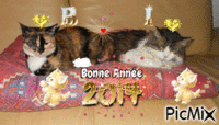 bonne    année    mes    chat - GIF animate gratis