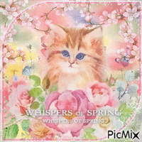 Spring cat flowers - GIF animé gratuit
