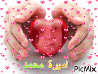 اميرة محمد - Ilmainen animoitu GIF