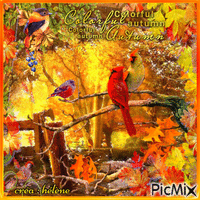 concours : Les oiseaux en automne GIF animé